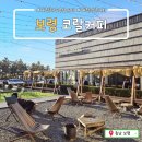 대천해수욕장 인터넷콘도 | 충남 대천해수욕장 코랄커피_대천해변 오션뷰 캠핑감성 카페 나들이