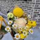 파인드 히어 이미지