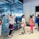 명지센텀유치원 이미지