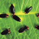 추억만들기 이미지