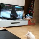 보들농장 이미지