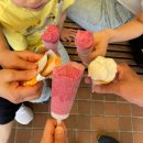 장미꽃빛거리 특화거리 | 3대 가족여행 후쿠오카 4박5일여행 후기 추천