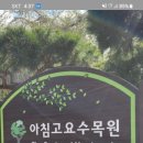 2월 5일 ( 토요일 ) 가평 아침고요 수목원 공기좋은 곳에가셔서 산책트레킹 하시고 춘천명물 닭갈비드시고 하루힐링 해요 이미지