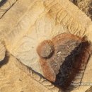 부산대학교 박물관 이미지