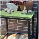 올래민박 이미지