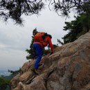 낙성대로 이미지