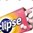 피치파트너스