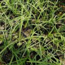 모현농장 이미지