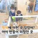 애니멀클럽 | 아이 반응이 미쳤던 곳, 평택 애니멀클럽 다녀온 후기