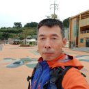 야은로-19 이미지