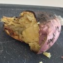 진성엔에프 | 25년 마지막 일상