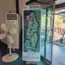 남향막국수청량점 | [강원도/강릉]골린이 머리 올리기 전에 가기좋은 파쓰리 골프장 :: 클럽버디 (ft. 2인플레이 파3 숏게임)