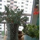 광림의집 이미지