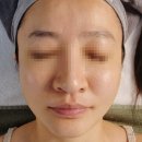 살롱드비비 티스토리