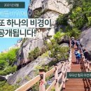 ▶ 가야산악회제155차10월삼척 두타산 베틀바위 산성길 ~ 마천루 특별산행 이미지