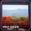 내장산관광안내소 | [공지] 내장산국립공원 원적골 자연관찰로 등산 코스 한국관광 100선[48]