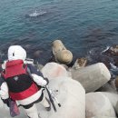 방파제낚시 이미지