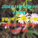 2024년 11월 20일(수) 수요예배 열왕기하 18장 26~37절 조롱하는 자들을 대하는 우리의 자세 이미지