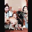 쿠라쿠라 이미지
