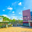 유정유치원 이미지