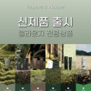 클라운지 - 부평구 장제로 168 | 클라운지