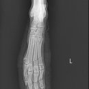 온누리동물병원 이미지