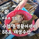 수협공영주차장 | 속초시 수협 동명활어센터 88호 대영수산 자연산 모듬회 8만원 매운탕 맛집