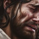 매일 여기 이미지