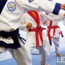 베스트 태권도 이미지