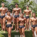 짐쉐이프 이미지