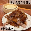 베이징코야일산점 | 일산 베이징덕 북경오리 룸식당 중식당 베이징코야