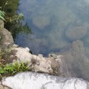 후겸농장 이미지