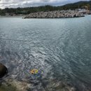 대본1리 이미지