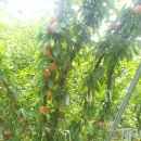 동건농장 이미지