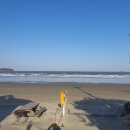 신두리해수욕장 이미지