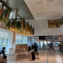 해송사우나 | 강릉 세인트존스 호텔 슈페리어 헐리우드 룸 및 사우나 헬스장 리뷰