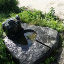 금산개구리