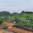 익산 농장 이미지