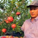 솔아농장 이미지