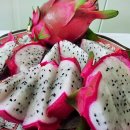 웰빙농장 이미지