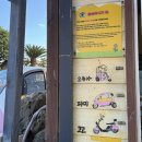 달달나라 | 제주도 여행 필수 우도 전기차 코코나라 예약 후기 달콤아재, 훈데르트바서, 훈데르트윈즈카페