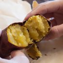 건바디짐 이미지