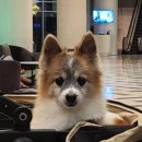 불광황토방 | 서울 북촌문화센터 방문 후기