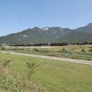 탑월드공인중개사사무소 이미지