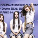 트리플에스 이미지