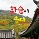 화순이네