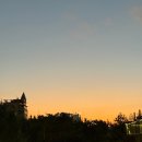 윌아크 | you're fucking shibal 🤬