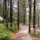 청송오토캠핑장 이미지