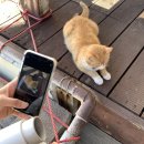 씨유주안하늘점 | 초코파이팅 호두파이팅 우도파이팅