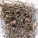 탐라지오 이미지